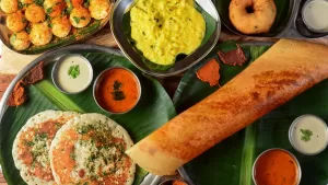 vegetarian south indian diet